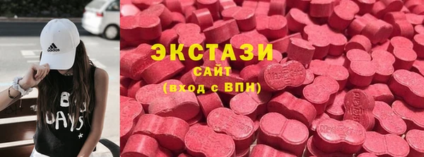 стаф Верея