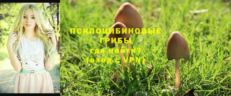 Галлюциногенные грибы MAGIC MUSHROOMS  гидра ССЫЛКА  Советская Гавань  где найти наркотики 